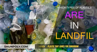 Plastics in Landfills: Understanding the Different Types