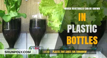 Eco-Friendly Gardening: Growing Vegetables in Plastic Bottles