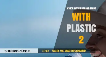 Plastic 2 in Bottled Water: Which Brands Use It?