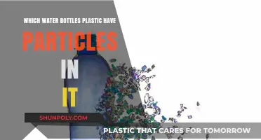 Plastic Water Bottles: Unseen Particles and Their Hidden Health Risks