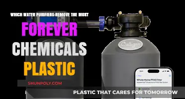 Top Water Purifiers Eliminating Persistent Forever Chemicals from Plastic
