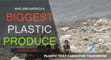 Plastic Producers: America's Top Polluters Revealed