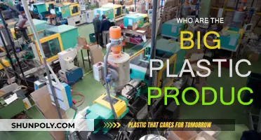 Plastic Producers: The Big Polluters