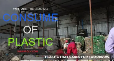 Plastic Consumption: Who's Leading the Pack?