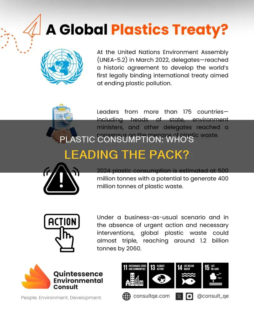 who are the leading consumers of plastic