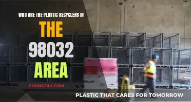 Recycling Revolution: Plastic Heroes of 98032