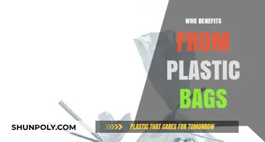 Unpacking the Surprising Beneficiaries of Plastic Bags: Who Profits?