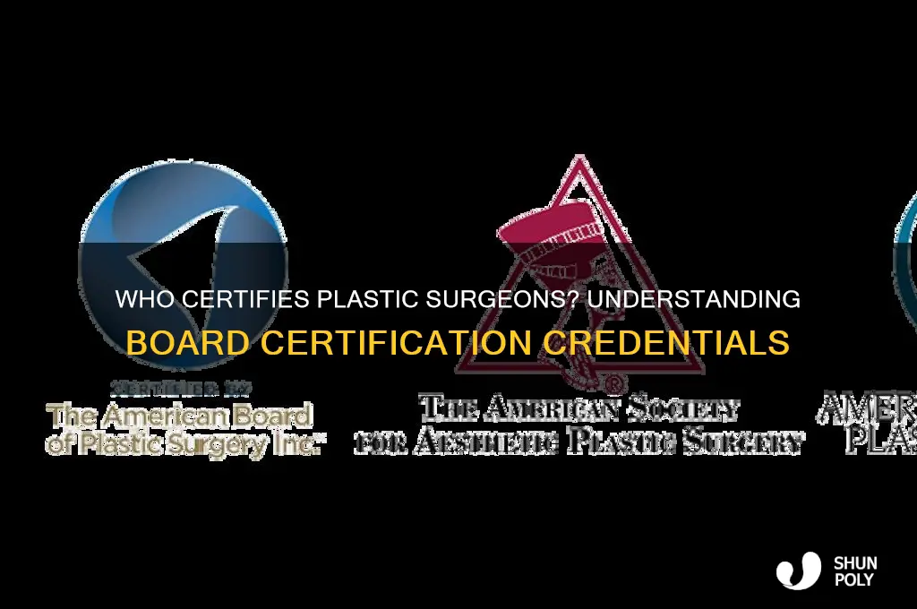 who board certifies plastic surgeons