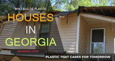 Plastic Houses in Georgia: Who's Building Them?
