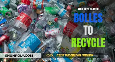 Recycling Revolution: Who Buys Plastic Bottles?