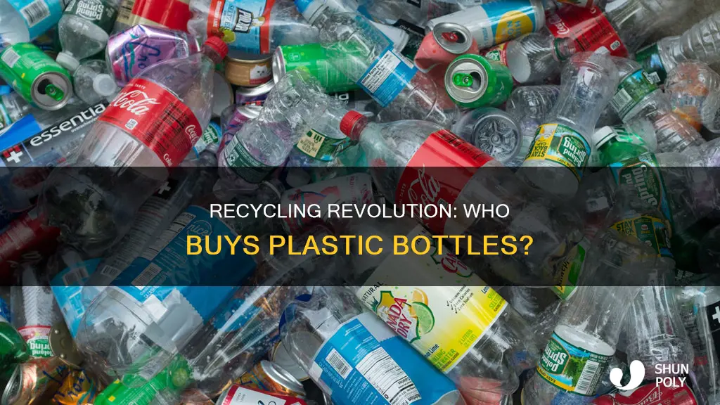 who buys plastic bolles to recycle