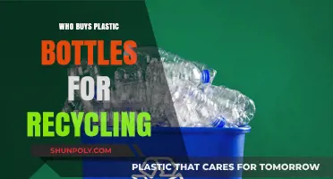 Who Buys Plastic Bottles for Recycling? Key Players and Processes
