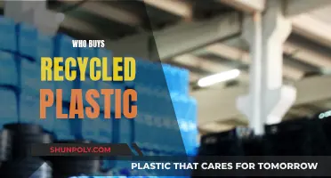 Who Buys Recycled Plastic? Uncovering the Demand for Sustainable Materials