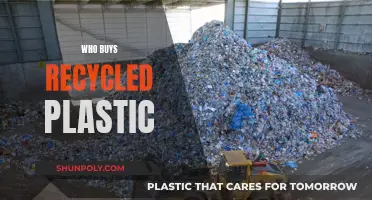 The Green Consumers: Recycled Plastic's Biggest Buyers
