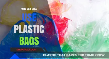 Who Still Uses Plastic Bags? Surprising Users and Alternatives
