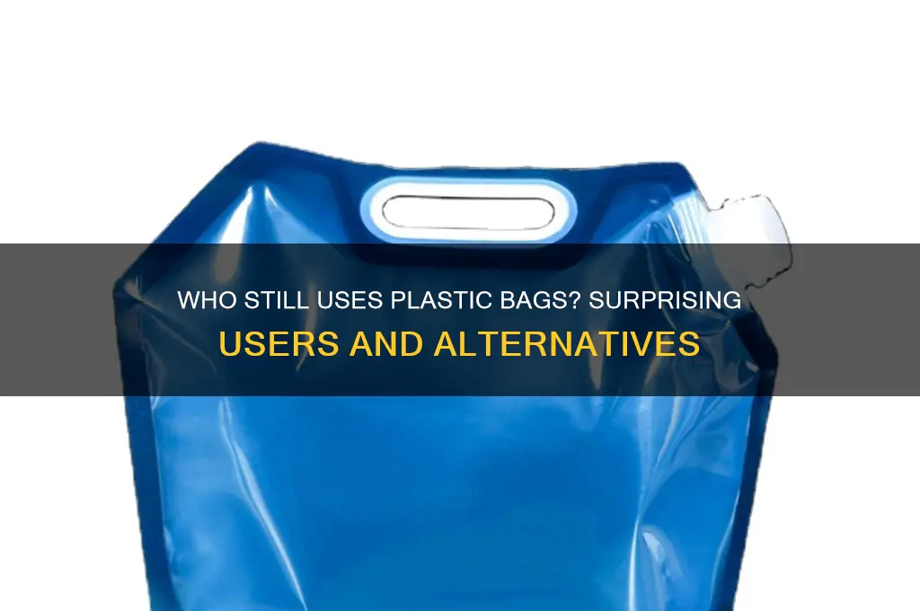who can still use plastic bags