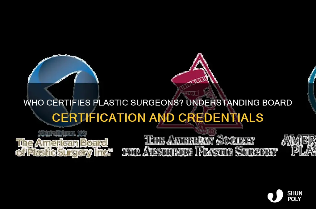 who certified plastic surgeons