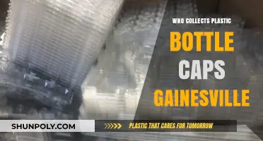 Gainesville's Plastic Bottle Cap Collectors: Who's Behind the Recycling Effort?
