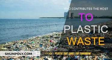 The Plastic Problem: Who's Responsible?