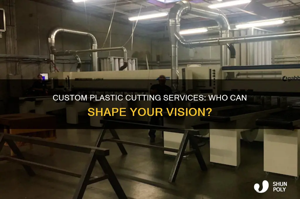 who custom cuts plastic