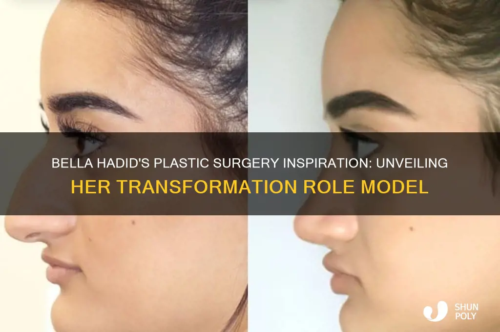 who did bella hadid model her plastic surgery after
