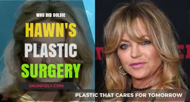 Goldie Hawn's Plastic Surgery: Unveiling the Truth Behind Her Timeless Look
