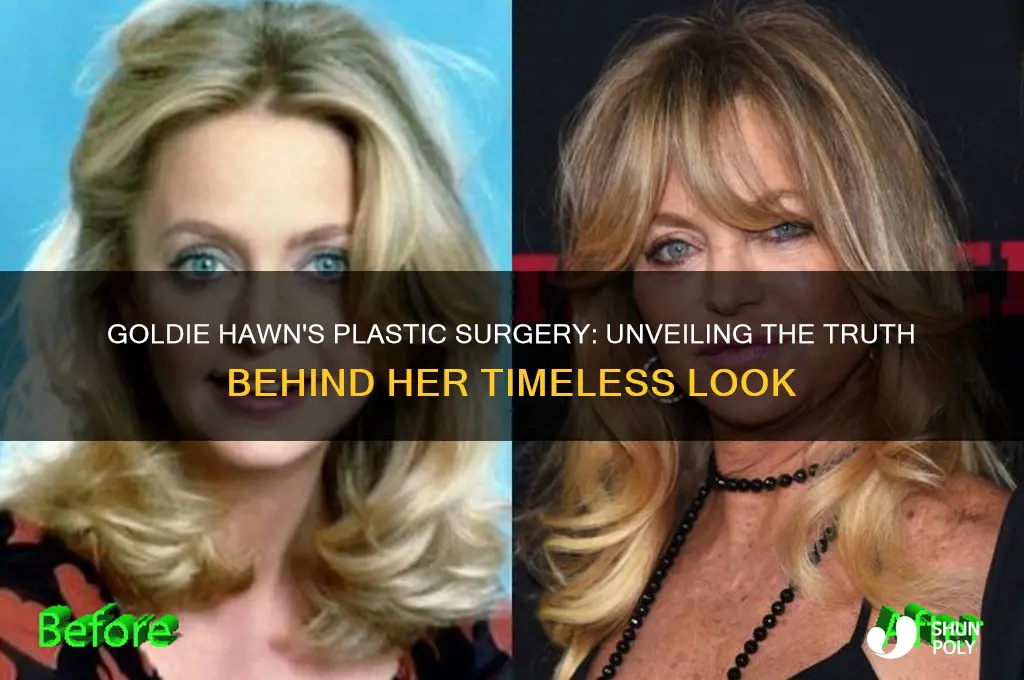 who did goldie hawn