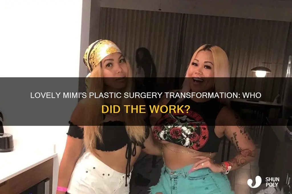 who did lovely mimi plastic surgery