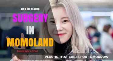 Momoland Members' Plastic Surgery: Who Underwent Cosmetic Procedures?