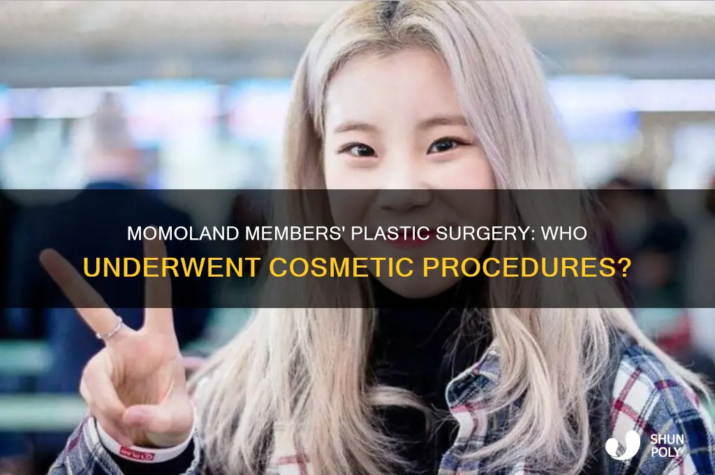 who did plastic surgery in momoland