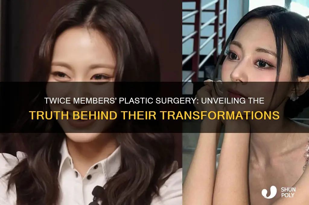 who did plastic surgery in twice