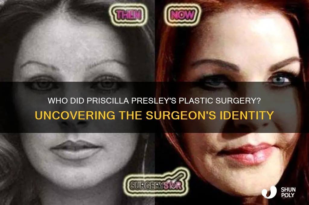 who did the plastic surgery on priscilla presley