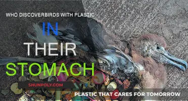 Plastic Pollution: Birds' Plight and Fight