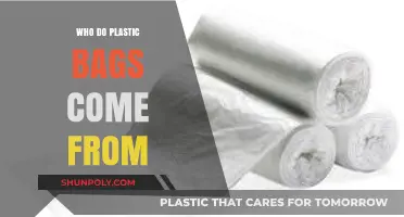 Unveiling the Origins: Who Manufactures Our Everyday Plastic Bags?