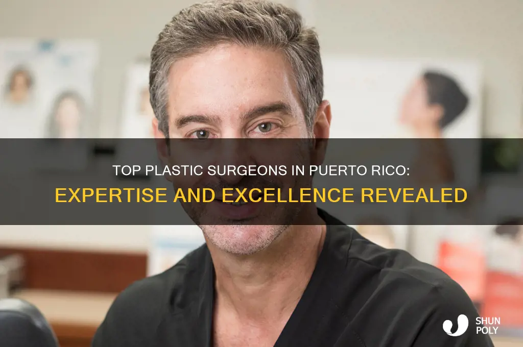 who do plastic surgery in puerto rico