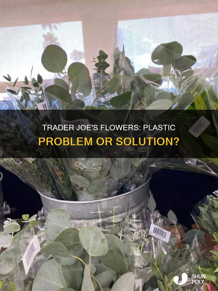 who do trader joes flowers have plastic