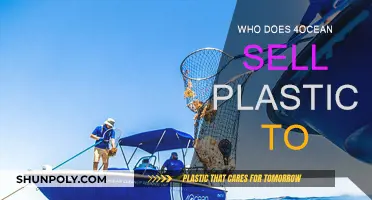 Where Does 4ocean Send the Plastic They Collect?