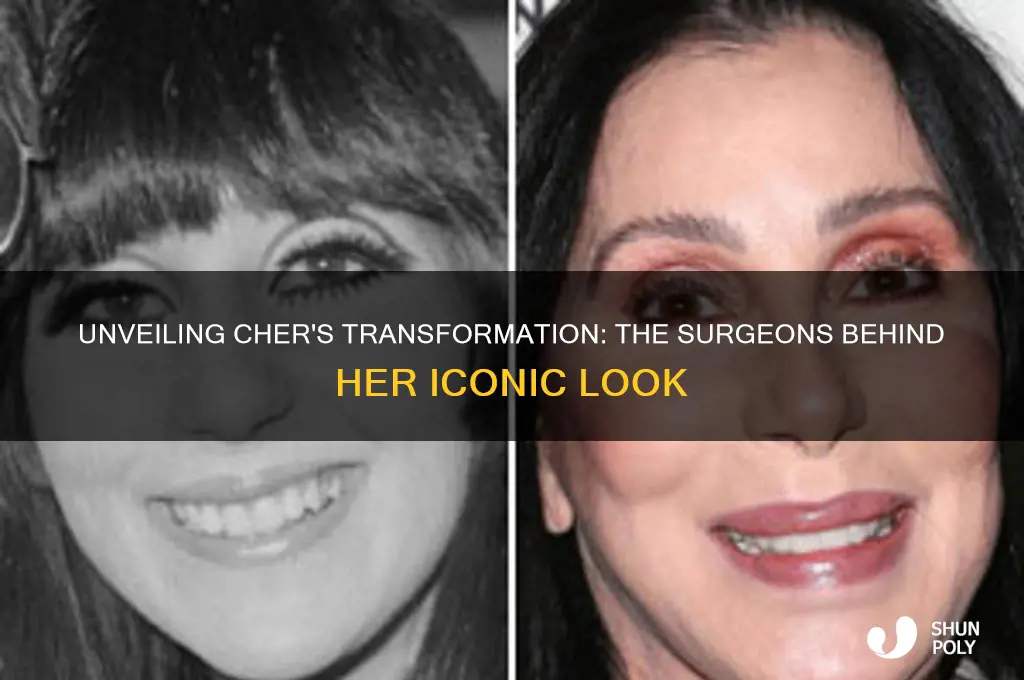 who does chers plastic surgery