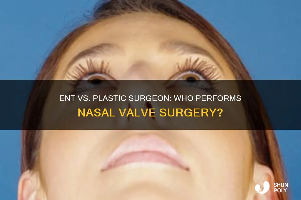 who does nasal valve surgery ent or plastic surgeo