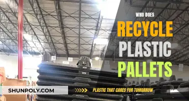 Plastic Pallet Recycling: Who Does It and How?