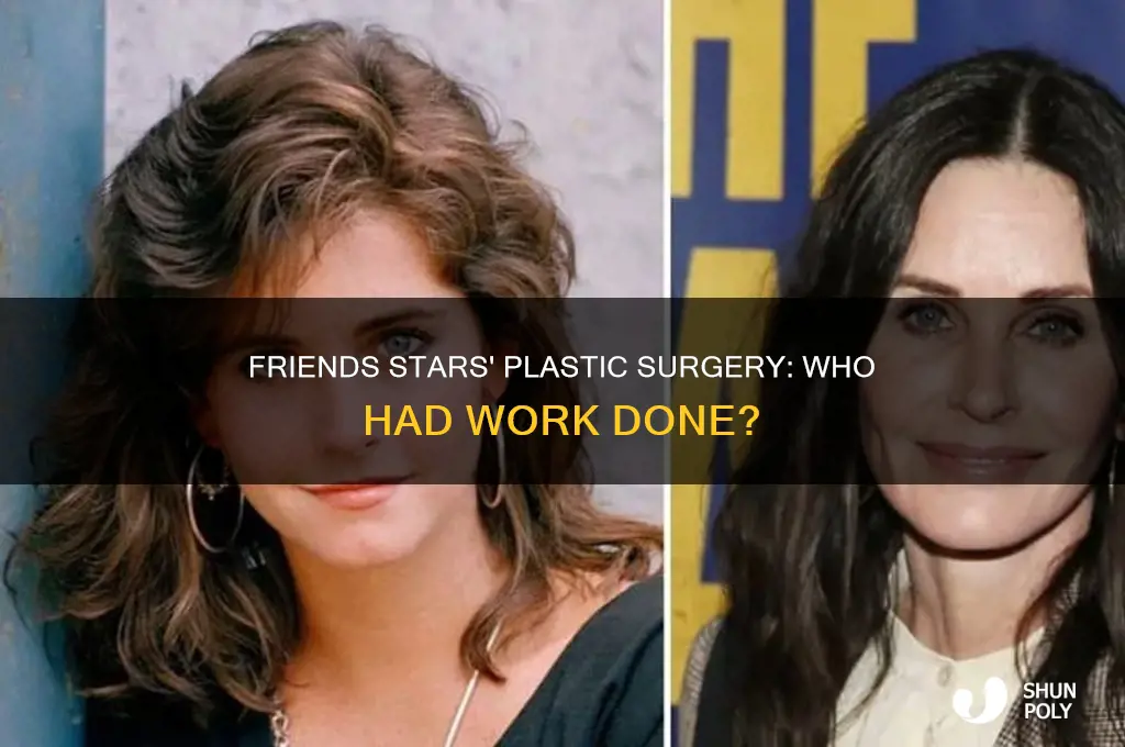 who from friends had plastic surgery