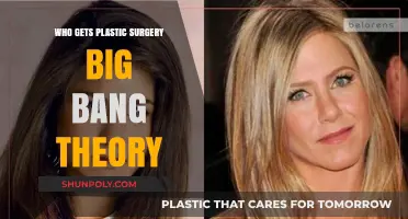 Big Bang Theory Cast: Who Underwent Plastic Surgery Transformations?