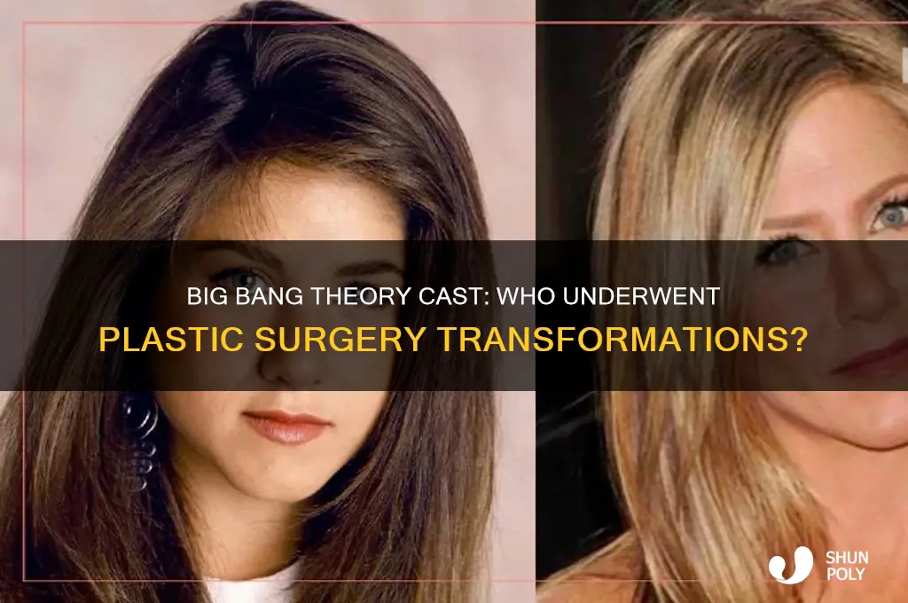 who gets plastic surgery big bang theory