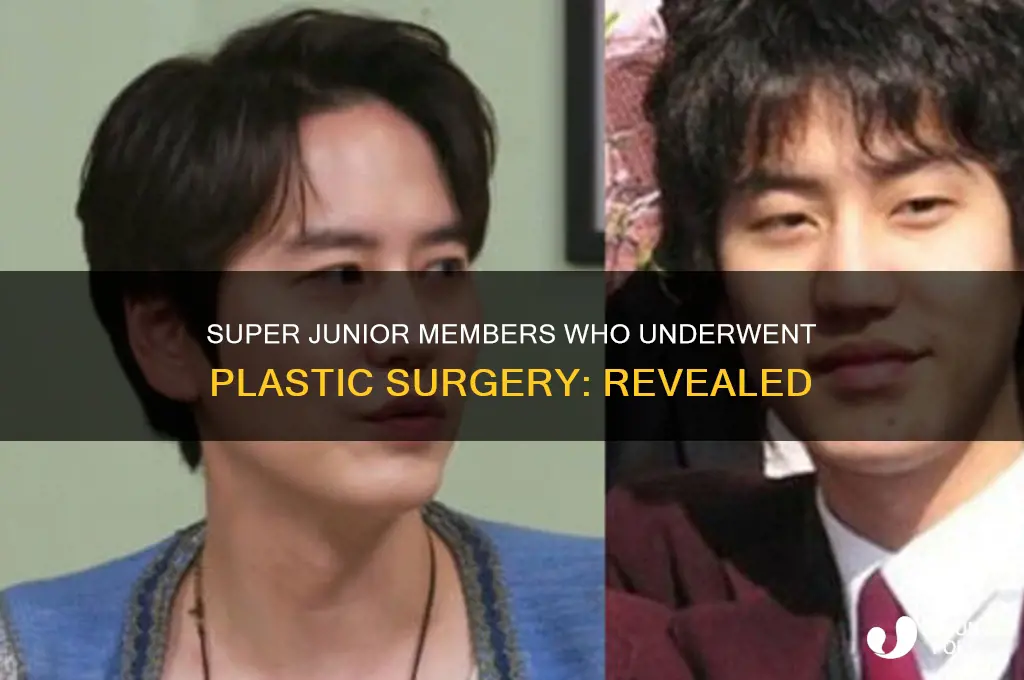 who had plastic surgery in super junior
