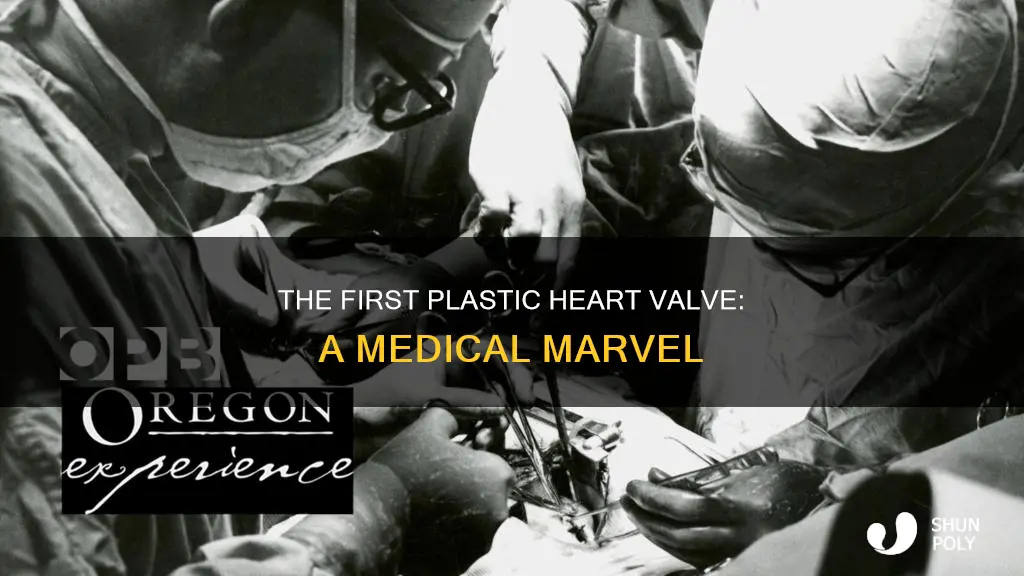 who had the first plastic heart valve