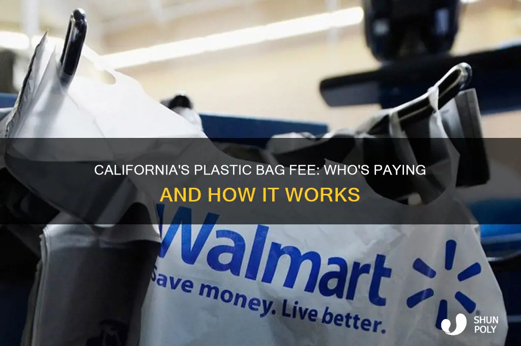 who has experience paying for plastic bags in california