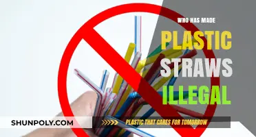 Plastic Straw Bans: Which Countries and Cities Have Gone Straw-Free?
