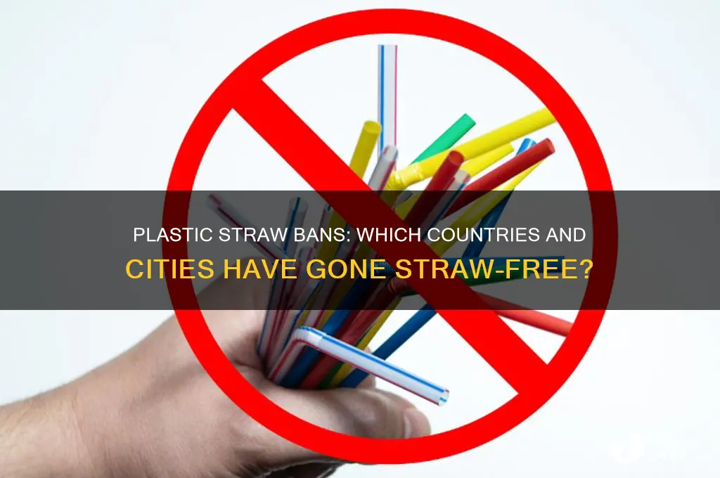 who has made plastic straws illegal