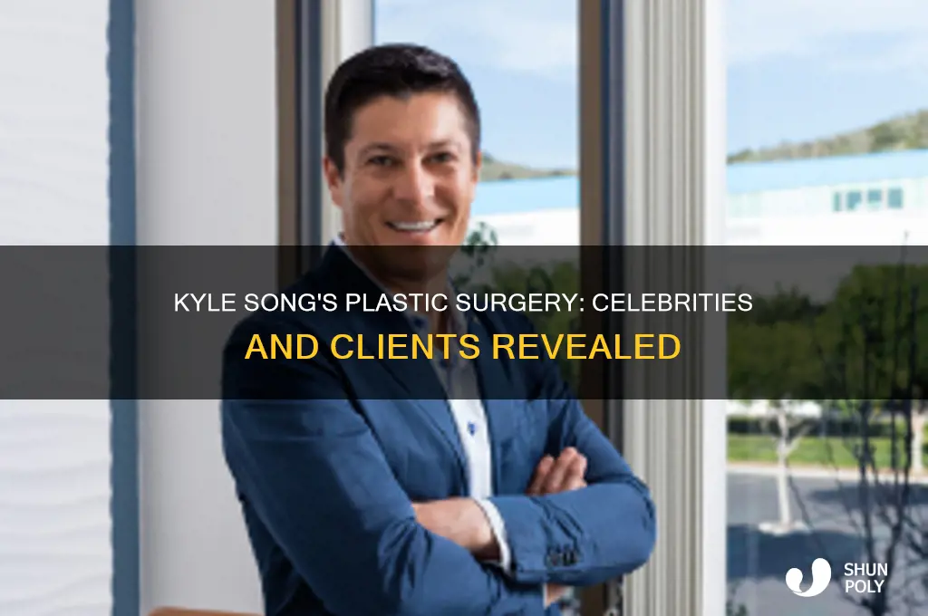 who has plastic surgeon kyle song worked on