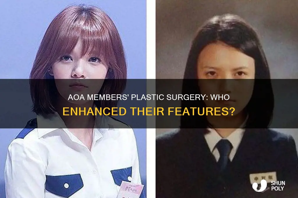 who in aoa got plastic surgery